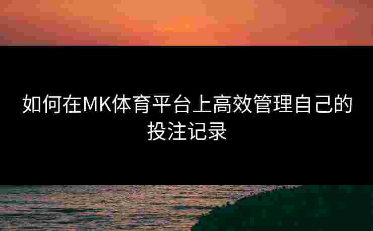 如何在MK体育平台上高效管理自己的投注记录